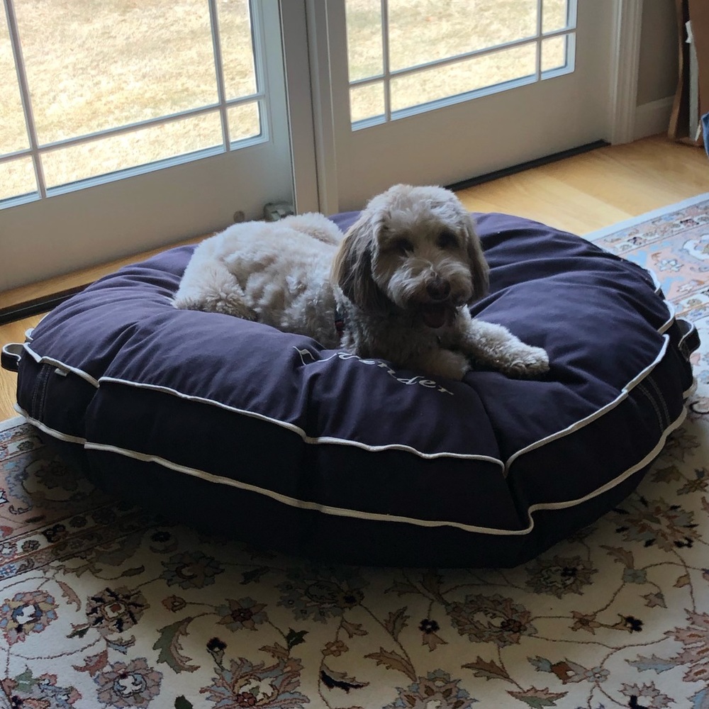 Meet your Posher, Joan